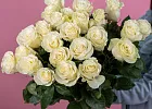 Купить Белая роза (Эквадор) 50 см в  с бесплатной доставкой: цена, фото, описание