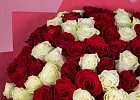 Купить Букет из 101 белой и красной розы 50 см (Эквадор) в  с бесплатной доставкой: цена, фото, описание