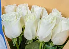 Купить Букет из 9 белых роз 50 см (Эквадор) в  с бесплатной доставкой: цена, фото, описание