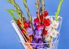 Купить Букет из 9 гладиолусов микс в упаковке в  с бесплатной доставкой: цена, фото, описание
