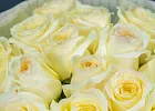 Купить Букет из 21 розы в  с бесплатной доставкой: цена, фото, описание