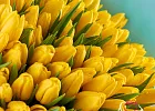 Купить Букет 101 жёлтый тюльпан в  с бесплатной доставкой: цена, фото, описание