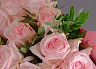 Купить Букет «25 пионовидных розовых роз» в Санкт-Петербурге с бесплатной доставкой: цена, фото, описание