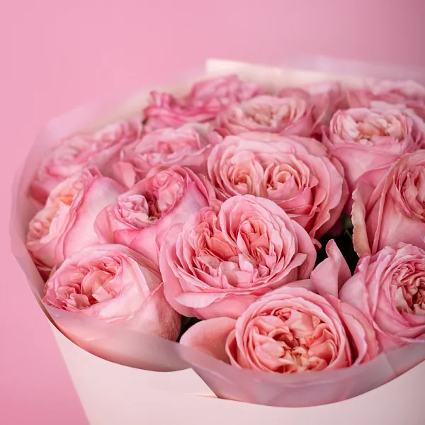 Купить Букет из 15 пионовидных розовых роз 50 см Pink Expression в  с бесплатной доставкой: цена, фото, описание