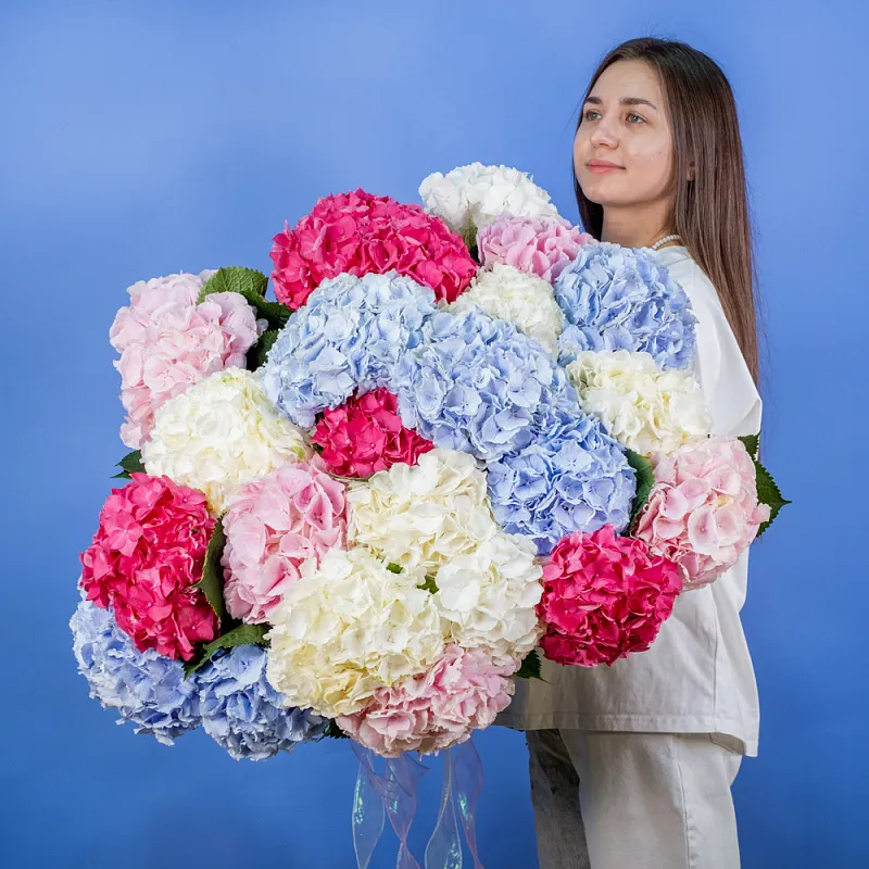 Букет из 25 гортензий микс