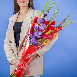 Купить Букет из 5 гладиолусов микс в упаковке в  с бесплатной доставкой: цена, фото, описание