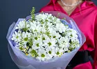 Купить Букет с матрикарией «Романтика» в  с бесплатной доставкой: цена, фото, описание
