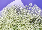 Купить Букет из 101 гипсофилы в  с бесплатной доставкой: цена, фото, описание
