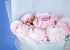 Купить Букет из 10 розовых пионов (Премиум) в  с бесплатной доставкой: цена, фото, описание