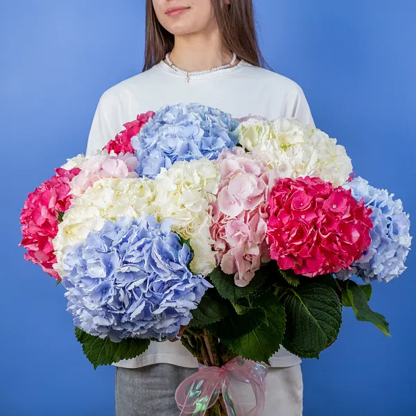Купить Букет из 15 гортензий микс в  с бесплатной доставкой: цена, фото, описание