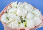 Купить Букет из 13 белых пионов (Премиум) в  с бесплатной доставкой: цена, фото, описание