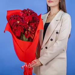 Купить Букет из красных георгинов в  с бесплатной доставкой: цена, фото, описание