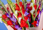 Купить Букет из 25 гладиолусов микс в упаковке в  с бесплатной доставкой: цена, фото, описание