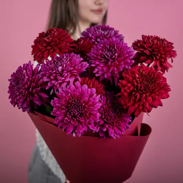Купить Букет из 15 бордовых и розовых хризантем в  с бесплатной доставкой: цена, фото, описание