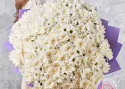 Купить Букет из 51 белой кустовой хризантемы в  с бесплатной доставкой: цена, фото, описание