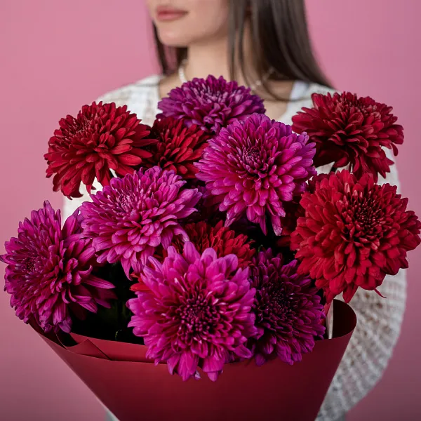 Купить Букет из 15 бордовых и розовых хризантем в  с бесплатной доставкой: цена, фото, описание