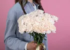 Купить Гвоздика Брют в  с бесплатной доставкой: цена, фото, описание
