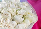 Купить Букет из 35 белых пионов (Премиум) в  с бесплатной доставкой: цена, фото, описание