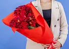 Купить Букет из красных георгинов в  с бесплатной доставкой: цена, фото, описание
