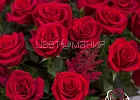 Купить Корзина «101 красная роза» в  с бесплатной доставкой: цена, фото, описание