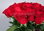 Купить Красная роза (Эквадор) 40 см в Санкт-Петербурге с бесплатной доставкой: цена, фото, описание
