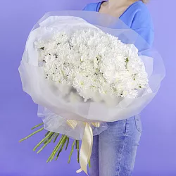 Купить Букет из 25 белых кустовых хризантем в Санкт-Петербурге с бесплатной доставкой: цена, фото, описание