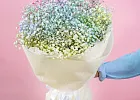 Купить Букет из разноцветных гипсофил в  с бесплатной доставкой: цена, фото, описание