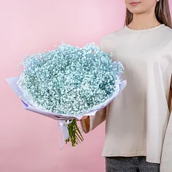 Купить Букет из голубой гипсофилы в  с бесплатной доставкой: цена, фото, описание