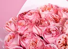 Купить Букет из 25 пионовидных розовых роз 70 см Pink Expression в  с бесплатной доставкой: цена, фото, описание