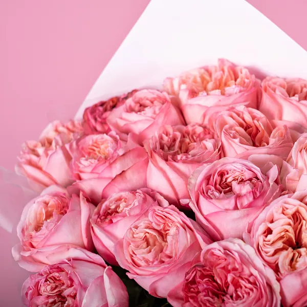 Купить Букет из 25 пионовидных розовых роз 70 см Pink Expression в  с бесплатной доставкой: цена, фото, описание