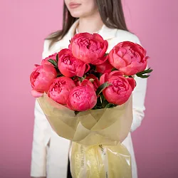 Купить Букет из 11 коралловых пионов (Премиум) в  с бесплатной доставкой: цена, фото, описание