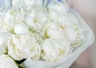 Купить Букет из 20 белых пионов (Премиум) в  с бесплатной доставкой: цена, фото, описание