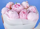Купить Букет из 8 розовых пионов (Премиум) в  с бесплатной доставкой: цена, фото, описание