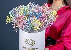Купить Гипсофилы в коробке в  с бесплатной доставкой: цена, фото, описание
