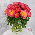 Пионы коралловые (Премиум)
