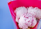 Купить Букет из 3 розовых пионов (Премиум) в  с бесплатной доставкой: цена, фото, описание