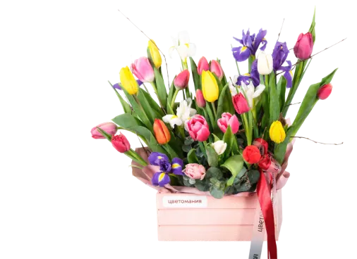 Композиции