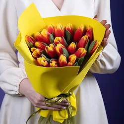 Купить Букет 25 красно-жёлтых тюльпанов в Санкт-Петербурге с бесплатной доставкой: цена, фото, описание
