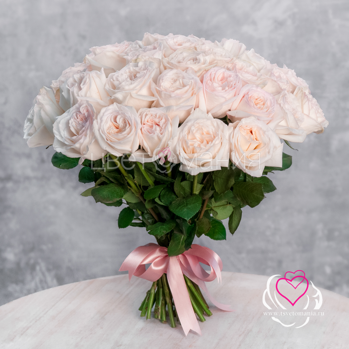 Пионовидная роза Вайт Охара 51 розовая пионовидная роза talisman 40 см