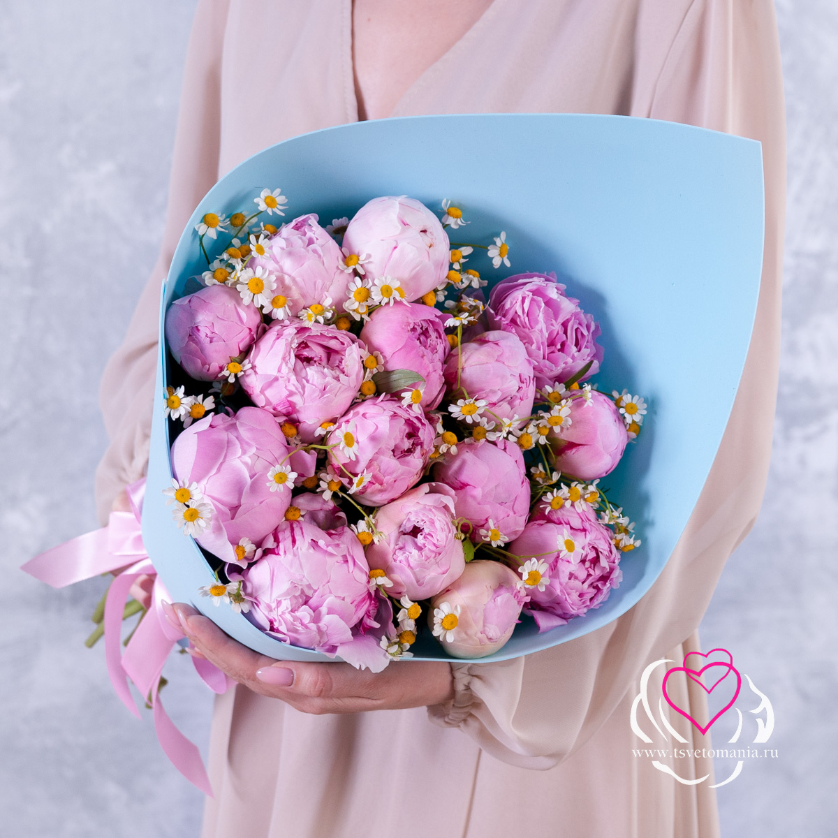 Букет из 15 розовых пионов (Премиум) с матрикарией