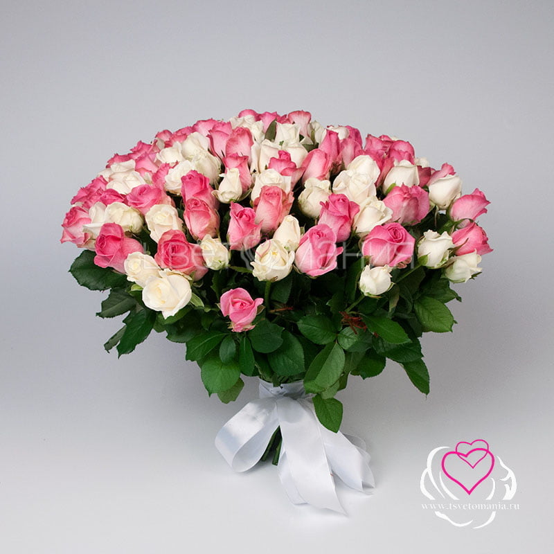101 белая и розовая роза 50 см Premium