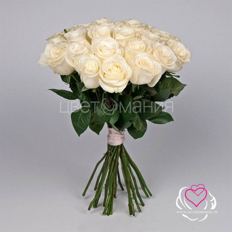 букет 51 белая и розовая роза premium эквадор Белая роза (Эквадор) 40 см