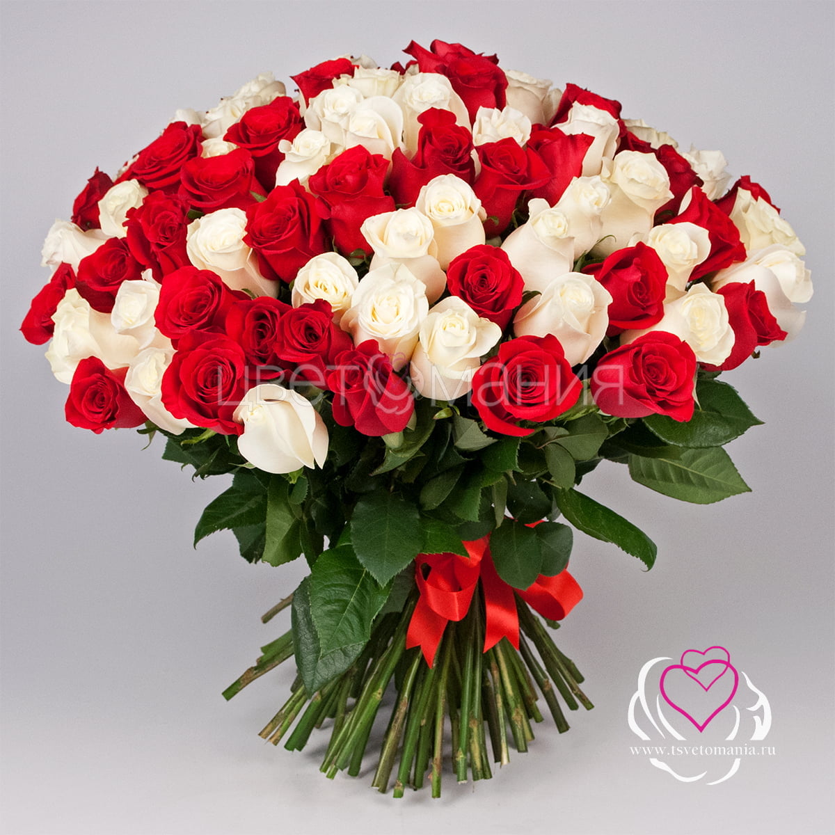101 белая и красная роза 50 см Premium белая роза эквадор 50 см