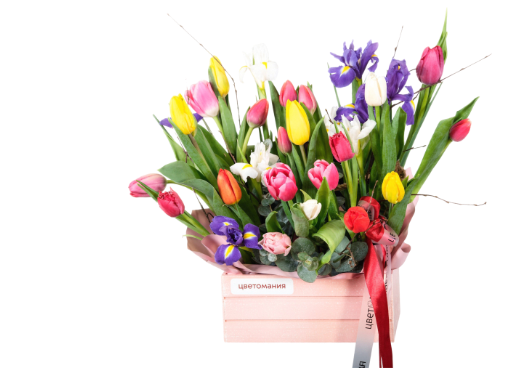 Композиции