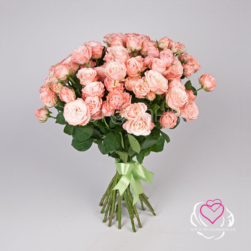 Кустовая роза Мадам Бомбастик букет из 15 роз мадам бомбастик
