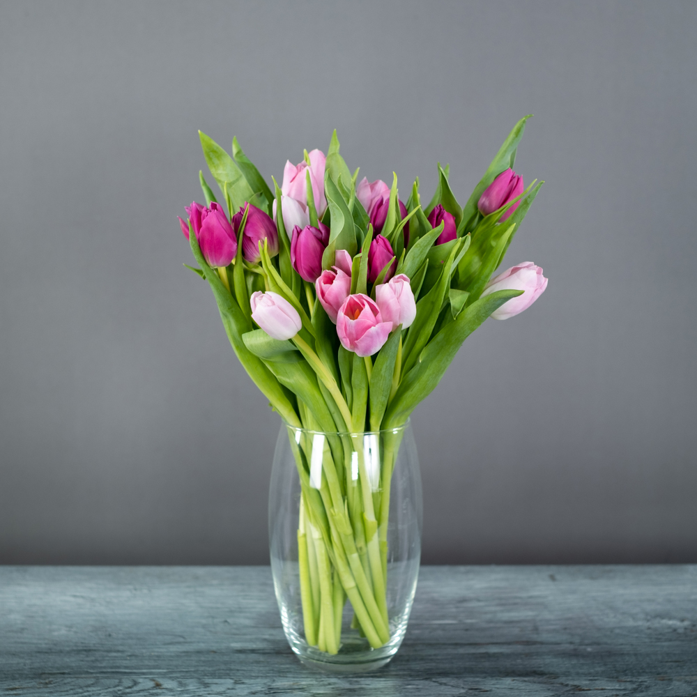 Тюльпан микс