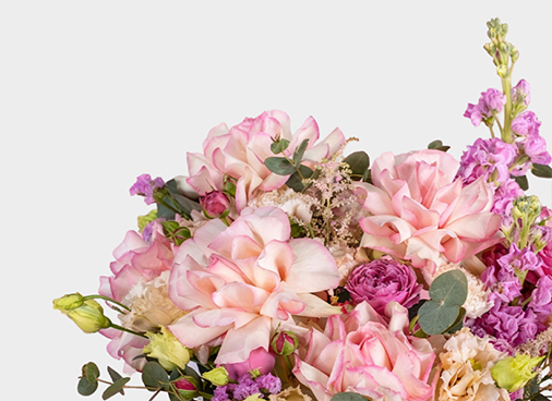 Композиции