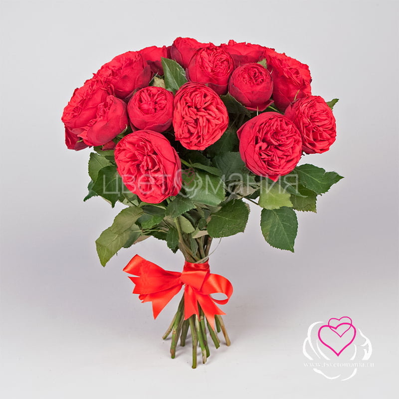 Пионовидная роза Ред Пиано роза ред ривер на штамбе 120 см