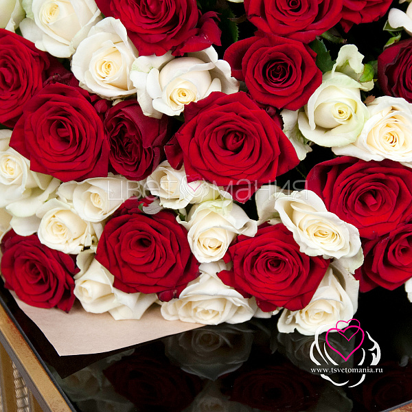Купить Букет из 51 белой и красной розы 60 см (Россия) в упаковке в  с бесплатной доставкой: цена, фото, описание