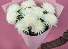 Купить Букет из 11 белых хризантем экстра в  с бесплатной доставкой: цена, фото, описание
